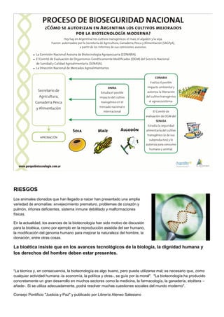 RIESGOS
Los animales clonados que han llegado a nacer han presentado una amplia
variedad de anomalías: envejecimiento prematuro, problemas de corazón y
pulmón, riñones deficientes, sistema inmune debilitado y malformaciones
físicas.

En la actualidad, los avances de la biotecnología han sido motivo de discusión
para la bioética, como por ejemplo en la reproducción asistida del ser humano,
la modificación del genoma humano para mejorar la naturaleza del hombre, la
clonación, entre otras cosas.

La bioética insiste que en los avances tecnológicos de la biología, la dignidad humana y
los derechos del hombre deben estar presentes.


“La técnica y, en consecuencia, la biotecnología es algo bueno, pero puede utilizarse mal; es necesario que, como
cualquier actividad humana -la economía, la política y otras-, se guíe por la moral". "La biotecnología ha producido
concretamente un gran desarrollo en muchos sectores como la medicina, la farmacología, la ganadería, etcétera –
añade-. Si se utiliza adecuadamente, podrá resolver muchas cuestiones sociales del mundo moderno".

Consejo Pontificio "Justicia y Paz" y publicado por Librería Ateneo Salesiano
 