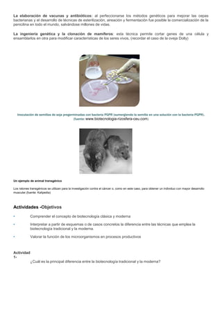 La elaboración de vacunas y antibióticos: al perfeccionarse los métodos genéticos para mejorar las cepas
bacterianas y el desarrollo de técnicas de esterilización, aireación y fermentación fue posible la comercialización de la
penicilina en todo el mundo, salvándose millones de vidas.

La ingeniería genética y la clonación de mamíferos: esta técnica permite cortar genes de una célula y
ensamblarlos en otra para modificar características de los seres vivos, (recordar el caso de la oveja Dolly)




    Inoculación de semillas de soja pregerminadas con bacteria PGPR (sumergiendo la semilla en una solución con la bacteria PGPR).
                                          (fuente: www.biotecnologia-rizosfera-ceu.com)




Un ejemplo de animal transgénico

Los ratones transgénicos se utilizan para la investigación contra el cáncer o, como en este caso, para obtener un individuo con mayor desarrollo
muscular.(fuente: Kalipedia)



Actividades -Objetivos

•           Comprender el concepto de biotecnología clásica y moderna

•           Interpretar a partir de esquemas o de casos concretos la diferencia entre las técnicas que emplea la
            biotecnología tradicional y la moderna.

•           Valorar la función de los microorganismos en procesos productivos



Actividad
1-
            ¿Cuál es la principal diferencia entre la biotecnología tradicional y la moderna?
 