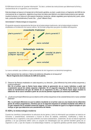 El ADN tiene la función de “guardar información”. Es decir, contiene las instrucciones que determinan la forma y
características de un organismo y sus funciones.

Esta tecnología se basa en el manejo de la información genética, es decir, puede tomar un fragmento del ADN de los
cromosomas de un organismo, eligiendo el que tiene los datos para fabricar una determinada proteína (por ejemplo
insulina humana) y lo coloca en otra especie (bacterias, levaduras, células vegetales) para reproducirla y para, sobre
todo, producirla industrialmente.(Fuente: Bio…¿Qué? Allberto Díaz)

Actividadad 3- Biotecnología en esquemas

El siguiente esquema representa las técnicas de la biotecnología tradicional y de la biotecnología moderna
empleadas en la obtención de nuevos cultivos. Se formulan preguntas que guían el análisis del esquema.




La nueva variedad, que contiene un gen proveniente de otro organismo se denomina transgénica.

1.¿Qué representan las cadenas o hileras de eslabones dibujadas en el esquema?
  Rta.Un fragmento de la molécula de ADN de la planta.



2. Observar las flechas empleadas en cada esquema y su dirección. ¿Qué diferencia hay entre ambos esquemas y
   a qué se atribuye?
   Rta. En el primer caso la flecha hacia abajo indica la generación de un nuevo individuo a partir del
   cruzamiento sexual de ambas especies originales. En el segundo esquema la flecha hacia la derecha
   indica la transferencia del gen de interés de un organismo al otro, y la flecha hacia abajo muestra la
   obtención de la nueva variedad a partir de una de las plantas originales (la comercial) modificada.


3. ¿Cuál es la principal diferencia que se observa entre ambos esquemas en las características de la nueva variedad
   obtenida?

   Rta. La principal diferencia es que la cadena resultante en el primer caso es una mezcla de los diferentes
   genes de ambos progenitores, mientras que en el segundo esquema la variedad resultante solo difiere en
   un gen respecto de la variedad comercial original. La nueva variedad es igual a la original excepto en que
   incluye un gen que determina una característica de interés.

El ADN y la biotecnología moderna

Cuando los científicos comprendieron la estructura de los genes y cómo la información que portaban se traducía en
funciones o características, comenzaron a buscar la forma de aislarlos, analizarlos, modificarlos y hasta de
transferirlos de un organismo a otro para conferirle una nueva característica. Justamente, de eso se trata la ingeniería
genética, a la que podríamos definir como un conjunto de metodologías que nos permite transferir genes de un
organismo a otro, y que dio impulso a la biotecnología moderna. La ingeniería genética permite clonar (multiplicar)
 