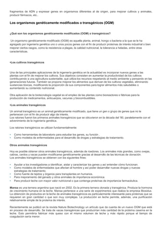 fragmentos de ADN y expresar genes en organismos diferentes al de origen, para mejorar cultivos y animales,
producir fármacos, etc..

Los organismos genéticamente modificados o transgénicos (OGM)


¿Qué son los organismos genéticamente modificados (OGM) o transgénicos?

 Un organismo genéticamente modificado (OGM) es aquella planta, animal, hongo o bacteria a la que se le ha
agregado por ingeniería genética uno o unos pocos genes con el fin de producir proteínas de interés industrial o bien
mejorar ciertos rasgos, como la resistencia a plagas, la calidad nutricional, la tolerancia a heladas, entre otras
características.



•Los cultivos transgénicos


Una de las principales aplicaciones de la ingeniería genética en la actualidad es incorporar nuevos genes a las
plantas con el fin de mejorar los cultivos. Sus objetivos consisten en aumentar la productividad de los cultivos
contribuyendo a una agricultura sustentable, que utiliza los recursos respetando al medio ambiente y pensando en las
generaciones futuras. También se propone mejorar los alimentos que derivan de los cultivos vegetales, eliminando
sustancias tóxicas, modificando la proporción de sus componentes para lograr alimentos más saludables o
aumentando su contenido nutricional.

Otra aplicación de la biotecnología vegetal es el empleo de las plantas como bioreactores o fábricas para la
producción de medicamentos, anticuerpos, vacunas y biocombustibles.

•Los animales transgénicos

Un animal transgénico es un animal genéticamente modificado, que tiene un gen o grupo de genes que no le
pertenecen con el fin de producir algo de interés.
Los ratones fueron los primeros animales transgénicos que se obtuvieron en la década del ’80, paralelamente con el
advenimiento de la ingeniería genética.

Los ratones transgénicos se utilizan fundamentalmente:

•   Como herramientas de laboratorio para estudiar los genes, su función .
•   Como modelos de enfermedades para el desarrollo de drogas y estrategias de tratamiento.

Otros animales transgénicos

Hoy es posible obtener otros animales transgénicos, además de roedores. Los animales más grandes, como ovejas,
cabras, cerdos y vacas pueden modificarse genéticamente gracias al desarrollo de las técnicas de clonación.
Los animales transgénicos se obtienen con los siguientes fines:

•   Ayudar a los investigadores a identificar, aislar y caracterizar los genes y así entender cómo funcionan.
•   Como modelos de enfermedades que afectan al hombre y así poder desarrollar nuevas drogas y nuevas
    estrategias de tratamiento.
•   Como fuente de tejidos y órganos para transplantes en humanos.
•   Para mejoramiento del ganado y otros animales de importancia económica.
•   Para producir leche con mayor valor nutricional o que contenga proteínas de importancia farmacéutica.

Mansa es una ternera argentina que nació en 2002. Es la primera ternera clonada y transgénica. Produce la hormona
de crecimiento humana en la leche. Mansa pertenece a una serie de experimentos que realiza la empresa Biosidus.
La obtención de productos en la leche de animales transgénicos es particularmente interesante para proteínas que se
requieren en gran cantidad o que son muy complejas. La producción en leche permite, además, una purificación
relativamente simple de la proteína de interés.

Recientemente se publicó en la revista Nature Biotechnology un artículo que da cuenta de un nuevo OGM que está
en proceso de desarrollo. Se trata de vacas transgénicas que producirían más cantidad de la proteína caseína en la
leche. Esto permitiría fabricar más queso con el mismo volumen de leche y más rápido porque el tiempo de
coagulación sería menor.
 
