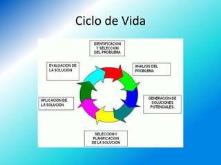Ciclo de Vida
 