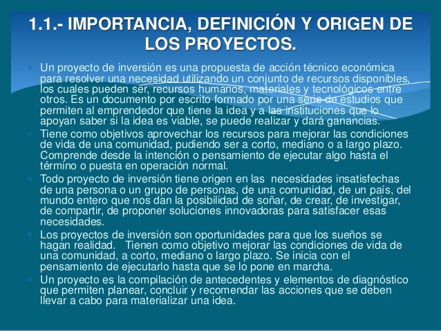 Unidad 1 concepto e importancia de los proyectos de inversión.