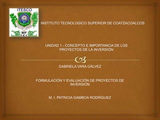 GABRIELA VARA GÁLVEZ


FORMULACIÓN Y EVALUACIÓN DE PROYECTOS DE
                INVERSIÓN


     M. I. PATRICIA GAMBOA RODRÍGUEZ
 