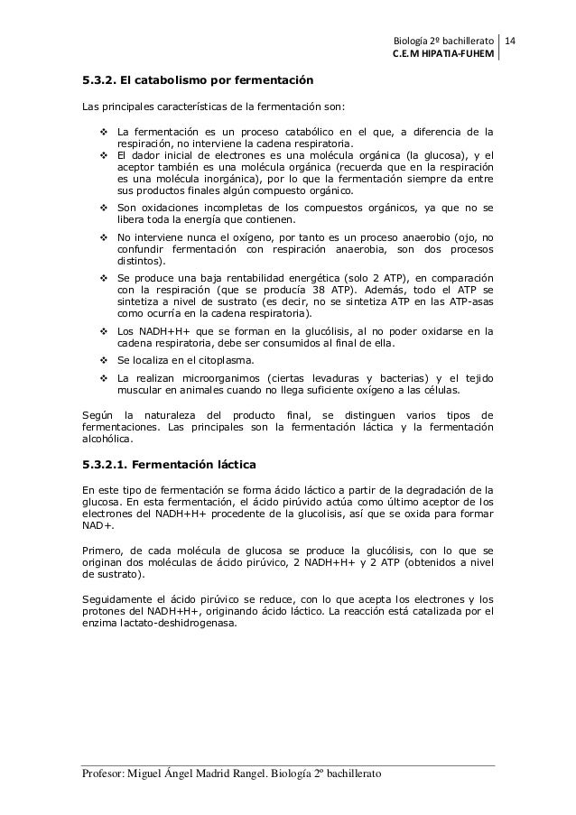 Mejores ideas dieta acelera metabolismo