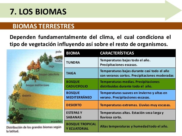 Unidad 10.5 los ciclos biogeoquímicos