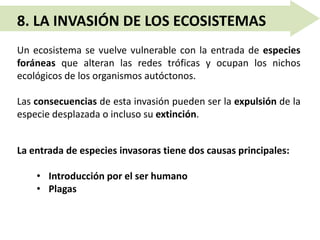 BIOMAS MARINOS
8. LA INVASIÓN DE LOS ECOSISTEMAS
Un ecosistema se vuelve vulnerable con la entrada de especies
foráneas que alteran las redes tróficas y ocupan los nichos
ecológicos de los organismos autóctonos.
Las consecuencias de esta invasión pueden ser la expulsión de la
especie desplazada o incluso su extinción.
La entrada de especies invasoras tiene dos causas principales:
• Introducción por el ser humano
• Plagas
 
