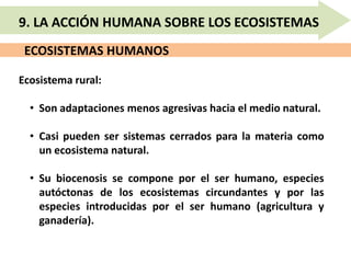 ECOSISTEMAS HUMANOS
9. LA ACCIÓN HUMANA SOBRE LOS ECOSISTEMAS
Ecosistema rural:
• Son adaptaciones menos agresivas hacia el medio natural.
• Casi pueden ser sistemas cerrados para la materia como
un ecosistema natural.
• Su biocenosis se compone por el ser humano, especies
autóctonas de los ecosistemas circundantes y por las
especies introducidas por el ser humano (agricultura y
ganadería).
 