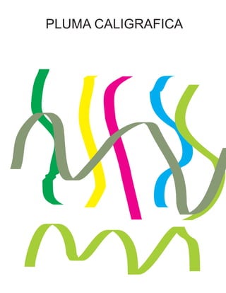 PLUMA CALIGRAFICA
 