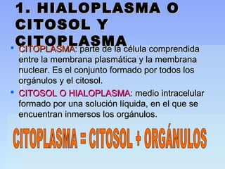 Unidad 10. hialoplasma, citoesqueleto y estructuras no membranosas | PPT