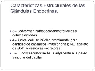 Características Estructurales de las
Glándulas Endocrinas.



 3.- Conforman nidos; cordones; folículos y
  células aisladas
 4.- A nivel celular: núcleo prominente; gran
  cantidad de organelos (mitocondrias; RE; aparato
  de Golgi y vesículas secretoras).
 5.- El polo secretor se halla adyacente a la pared
  vascular del capilar.
 