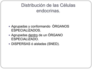Distribución de las Células
               endocrinas.


 Agrupadas y conformando ÓRGANOS
  ESPECIALIZADOS.
 Agrupadas dentro de un ÓRGANO
  ESPECIALIZADO.
 DISPERSAS ó aisladas (SNED).
 
