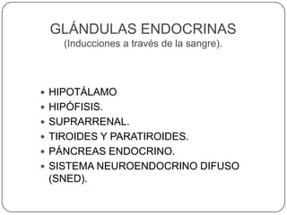 GLÁNDULAS ENDOCRINAS
    (Inducciones a través de la sangre).



 HIPOTÁLAMO
 HIPÓFISIS.
 SUPRARRENAL.
 TIROIDES Y PARATIROIDES.
 PÁNCREAS ENDOCRINO.
 SISTEMA NEUROENDOCRINO DIFUSO
 (SNED).
 