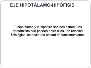 EJE HIPOTÁLAMO-HIPÓFISIS



   El hipotálamo y la hipófisis son dos estructuras
  anatómicas que poseen entre ellas una relación
fisiológica, es decir una unidad de funcionamiento.
 