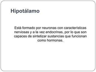 Hipotálamo


 Está formado por neuronas con características
 nerviosas y a la vez endocrinas, por lo que son
 capaces de sintetizar sustancias que funcionan
                 como hormonas.
 