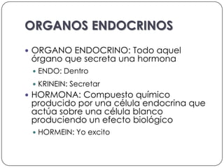 ORGANOS ENDOCRINOS
 ORGANO ENDOCRINO: Todo aquel
 órgano que secreta una hormona
  ENDO: Dentro

  KRINEIN: Secretar
 HORMONA: Compuesto químico
 producido por una célula endocrina que
 actúa sobre una célula blanco
 produciendo un efecto biológico
  HORMEIN: Yo excito
 