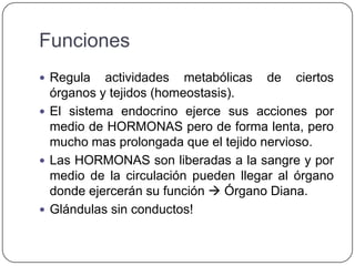 Funciones
 Regula   actividades metabólicas de ciertos
  órganos y tejidos (homeostasis).
 El sistema endocrino ejerce sus acciones por
  medio de HORMONAS pero de forma lenta, pero
  mucho mas prolongada que el tejido nervioso.
 Las HORMONAS son liberadas a la sangre y por
  medio de la circulación pueden llegar al órgano
  donde ejercerán su función  Órgano Diana.
 Glándulas sin conductos!
 