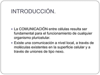 INTRODUCCIÓN.


 La COMUNICACIÓN entre células resulta ser
  fundamental para el funcionamiento de cualquier
  organismo pluricelular.
 Existe una comunicación a nivel local, a través de
  moléculas existentes en la superficie celular y a
  través de uniones de tipo nexo.
 