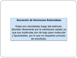 Secreción de Hormonas Esteroideas

    Estas son secretadas luego del estimulo,
difunden libremente por la membrana celular ya
que sus moléculas son de bajo peso molecular
y liposolubles, por lo que no requieren proceso
                 de exocitosis.
 