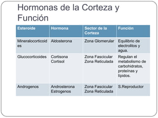 Hormonas de la Corteza y
Función
Esteroide          Hormona        Sector de la      Función
                                  Corteza

Mineralocorticoid Aldosterona     Zona Glomerular   Equilibrio de
es                                                  electrolitos y
                                                    agua.
Glucocorticoides   Cortisona      Zona Fascicular   Regulan el
                   Cortisol       Zona Reticulada   metabolismo de
                                                    carbohidratos,
                                                    proteínas y
                                                    lípidos.

Androgenos         Androsterona   Zona Fascicular   S.Reproductor
                   Estrogenos     Zona Reticulada
 