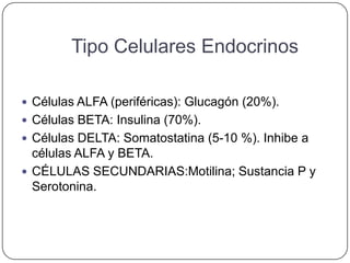 Tipo Celulares Endocrinos

 Células ALFA (periféricas): Glucagón (20%).
 Células BETA: Insulina (70%).
 Células DELTA: Somatostatina (5-10 %). Inhibe a
  células ALFA y BETA.
 CÉLULAS SECUNDARIAS:Motilina; Sustancia P y
  Serotonina.
 