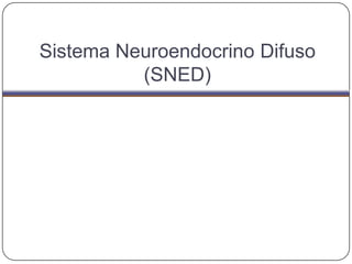 Sistema Neuroendocrino Difuso
          (SNED)
 