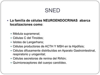 SNED
 La familia de células NEUROENDOCRINAS abarca
 localizaciones como:

  Médula suprarrenal;
  Células C del Tiroides;
  Islotes de Langerhans;
  Células productoras de ACTH Y MSH en la Hipófisis;
  Células difusamente distribuídas en Aparato Gastrointestinal,
   respiratorio y urogenital;
  Células secretoras de renina del Riñón;
  Quimioreceptores del cuerpo carotídeo.
 