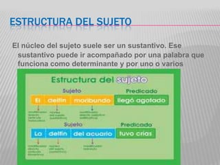 ESTRUCTURA DEL SUJETO

El núcleo del sujeto suele ser un sustantivo. Ese
 sustantivo puede ir acompañado por una palabra que
 funciona como determinante y por uno o varios
 complementos.
 
