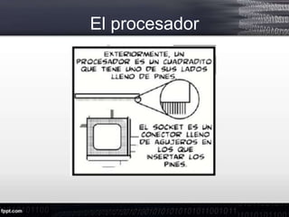 El procesador
 