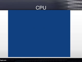 CPU
 