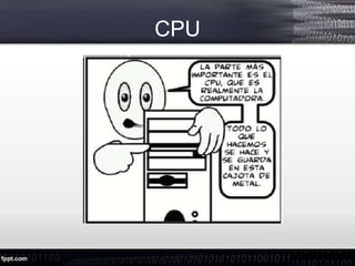 CPU
 