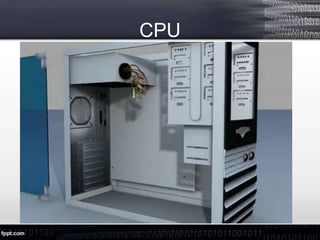 CPU
 