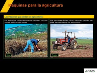 Máquinas para la agricultura
Las máquinas que utilizan los agricultores
Los agricultores utilizan herramientas manuales, como las
azadas, las hoces o las horcas.
Hoz Tractor
Los agricultores también utilizan máquinas, como los trac-
tores, las cosechadoras, las sembradoras....
 
