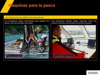 Máquinas para la pesca
Las máquinas que utilizan los pescadores
Barcos con redes
Los pescadores utilizan herramientas para capturar los
peces, como los anzuelos o las redes.
Los pescadores también utilizan máquinas, como los
barcos o el sonar, para localizar los bancos de peces.
Localizador de peces
 