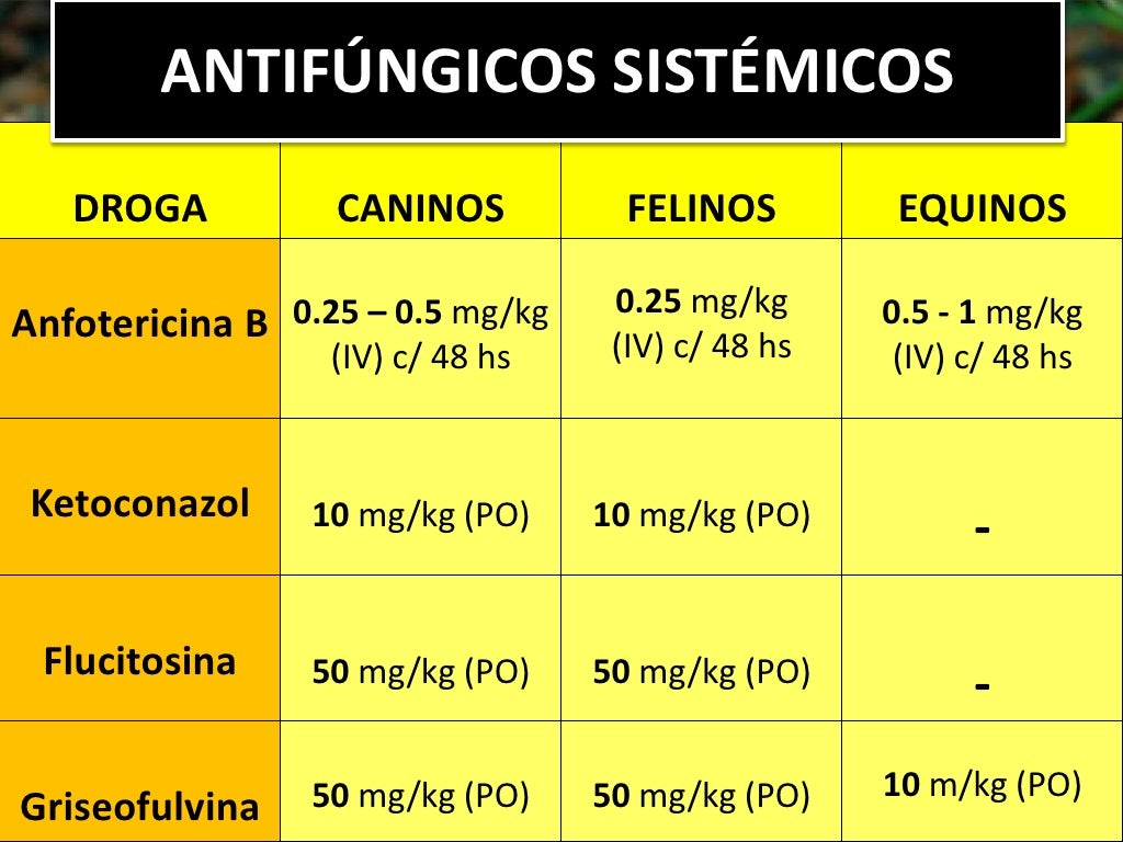 Unidad 12 antifúngicos y antivirales