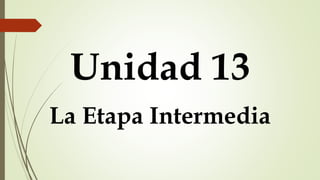 Unidad 13
La Etapa Intermedia
 