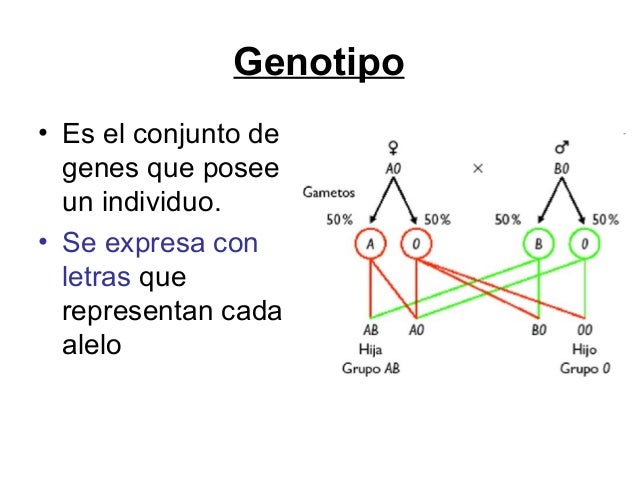 Unidad 14. Genética y herencia