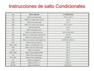 Instrucciones de salto Condicionales 