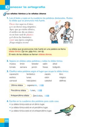 C onocer la ortografía
La sílaba tónica y la sílaba átona

1. Lee el texto y copia en tu cuaderno las palabras destacadas. Rodea
la sílaba que se pronuncia más fuerte.
îscar vive aqu’ en el ‡tico
y es un doctor muy simp‡tico.
Ayer, que yo estaba af—nico,
el mŽdico me dio un t—nico
en un bote azul de pl‡stico
y el efecto fue fant‡stico:
cantŽ una —pera completa.
ÁVaya m‡gica receta!
La sílaba que se pronuncia más fuerte en una palabra se llama
sílaba tónica: Ós-car, plás-tico, can-té.
El resto de las sílabas se llaman sílabas átonas.

2. Separa en sílabas estas palabras y rodea la sílaba tónica.
música

limón

tenedor

salón

árbol

tomate

semana

jamón

fresas

bolígrafo

3. Clasifica estas palabras según el lugar que ocupa la sílaba tónica.
caparazón

fantástico

zapato

libro

exótico

lunes

ratón

mágico

carnaval

helicóptero

catedral

delfines

Última sílaba

caparazón,

Penúltima sílaba
Antepenúltima sílaba

lunes,
fantástico,

4. Escribe en tu cuaderno dos palabras para cada caso.
• La sílaba tónica está en el último lugar.
• La sílaba tónica está en el penúltimo lugar.
• La sílaba tónica está en el antepenúltimo lugar.

210

 