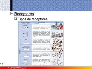 24
 Diversidad de formas obtenidas
4 Mecanizado de piezas mediante
máquinas-herramientas
Formas que pueden obtenerse con distintas fresas.
 