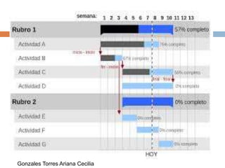Gonzales Torres Ariana Cecilia
 