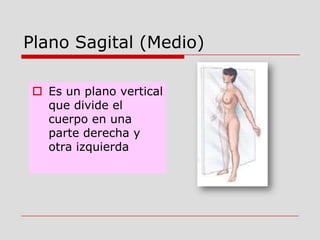 Plano Sagital (Medio)
 Es un plano vertical
que divide el
cuerpo en una
parte derecha y
otra izquierda
 