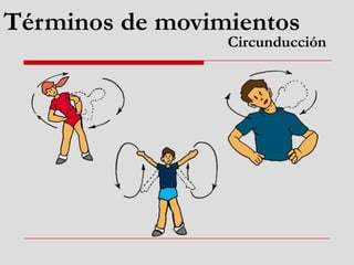 Términos de movimientos
Circunducción
 