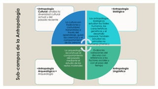 •Antropología 
Lingüística 
•Antropología 
Arqueológica = 
Arqueología 
•Antropología 
biológica 
•Antropología 
Cultural: analiza la 
diversidad cultural 
actual y del 
pasado reciente 
La cultura son 
tradiciones y 
costumbres 
transmitidas a 
través del 
aprendizaje, guían 
las creencias y el 
comportamiento 
de las personas 
Los antropólogos 
biológicos 
estudian los fósiles 
humanos, las 
características 
genéticas y el 
desarrollo 
corporal. También 
estudian los 
primates no 
humanos (monos y 
simios 
Evalúa las 
variaciones del 
discurso con 
referencia a los 
factores sociales y 
con el paso del 
tiempo 
La arqueología 
reconstruye el 
comportamiento 
del pasado 
mediante el 
estudio de los 
restos materiales 
Sub-campos de la Antropología 
 