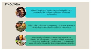 Analiza, interpreta y compara los resultados de la 
etnografía, los dato recogidos en diferentes 
sociedades. 
Utiliza tales datos para comparar y contrastar, y llegar a 
generalizaciones sobre la sociedad y la cultura. 
Los etnólogos intentan identificar y explicar las 
diferencias y similitudes culturales, probar hipótesis y 
construir una teoría que amplíe nuestra comprensión 
sobre cómo funcionan los sistemas sociales y culturales 
ETNOLOGÍA 
 
