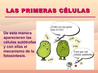 L AS PRIMERAS CÉLULAS

                     ¡Cada vez me gusta
                     más el CO2!
De esta manera
aparecieron las
células autótrofas
y con ellas el
mecanismo de la                           Creo que son
                                          células autótrofas
fotosíntesis.
 