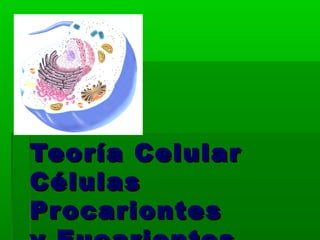 Teoría Celular
Células
Pr ocariontes
 