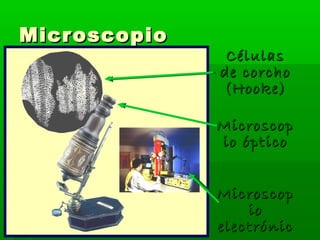 Micr oscopio
                Células
               de corcho
               (Hooke)

               Microscop
               io óptico


               Microscop
                   io
               electrónic
 