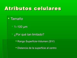Atributos celulares

  Tamaño

    1–100 µm

    ¿Por qué tan limitado?

      Rango Superficie-Volumen (S/V)

      Distancia de la superficie al centro
 