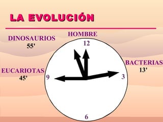 LA EVOLUCIÓN
               HOMBRE
 DINOSAURIOS
     55'          12

                            BACTERIAS
EUCARIOTAS                     13'
    45'    9            3




                  6
 