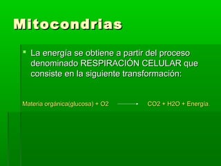 Mitocondrias
  La energía se obtiene a partir del proceso
   denominado RESPIRACIÓN CELULAR que
   consiste en la siguiente transformación:


 Materia orgánica(glucosa) + O2   CO2 + H2O + Energía .
 